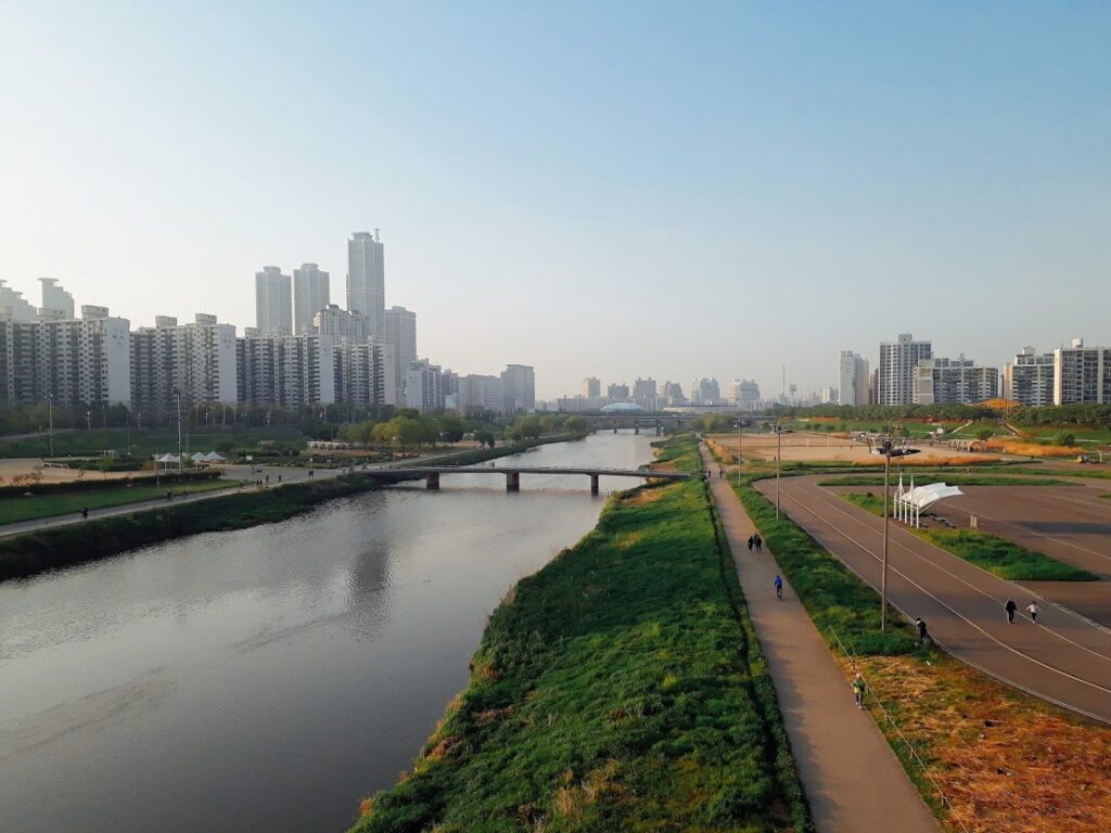 안양천 러닝 코스: 신정교–양화교 8km 왕복과 10km 확장