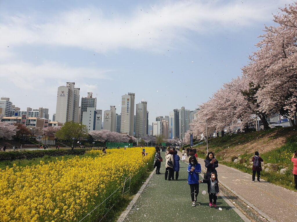 부산 온천천 러닝 코스: 온천장역–두실교 4.8km와 왕복 계획