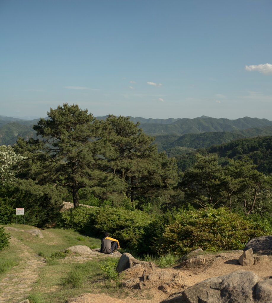 2026 디트레일 레이스 신청｜50K 16만원·13시간·필수장비
